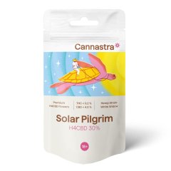 Cannastra H4CBD Cvet Solar Pilgrim Bela vdova 30%, 1 g - 100 g