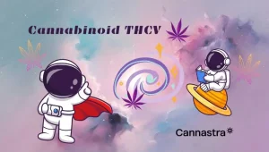 Inscription: cannabinoid THCV, space illustration with astronauts, cannabis leaves, Cannastra logo Inscription: cannabinoid THCV, space illustration with astronauts, cannabis leaves, Cannastra logo