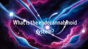 The cosmic sentinel of balance: what is the endocannabinoid system and how does it work?